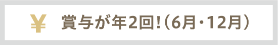 賞与が年2回(6月・12月)